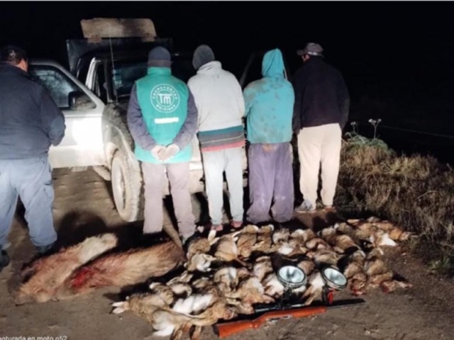 Cazadores sorprendidos con 25 animales y un arma de fuego ilegal